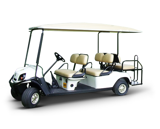4 Seat Electric Buggy