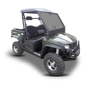 Buggy