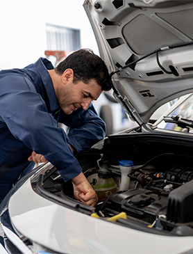 Fleet compliance vehicle check