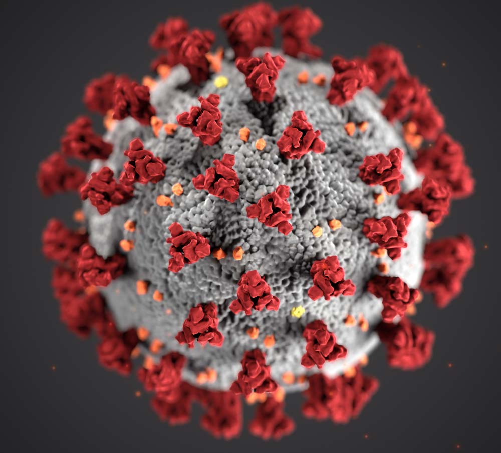 coronavirus information